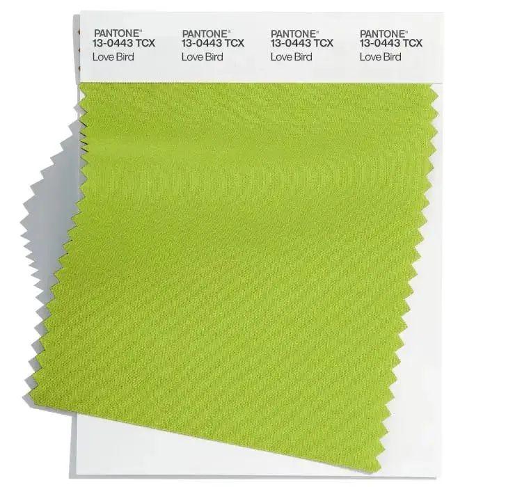 pantone-15.jpg