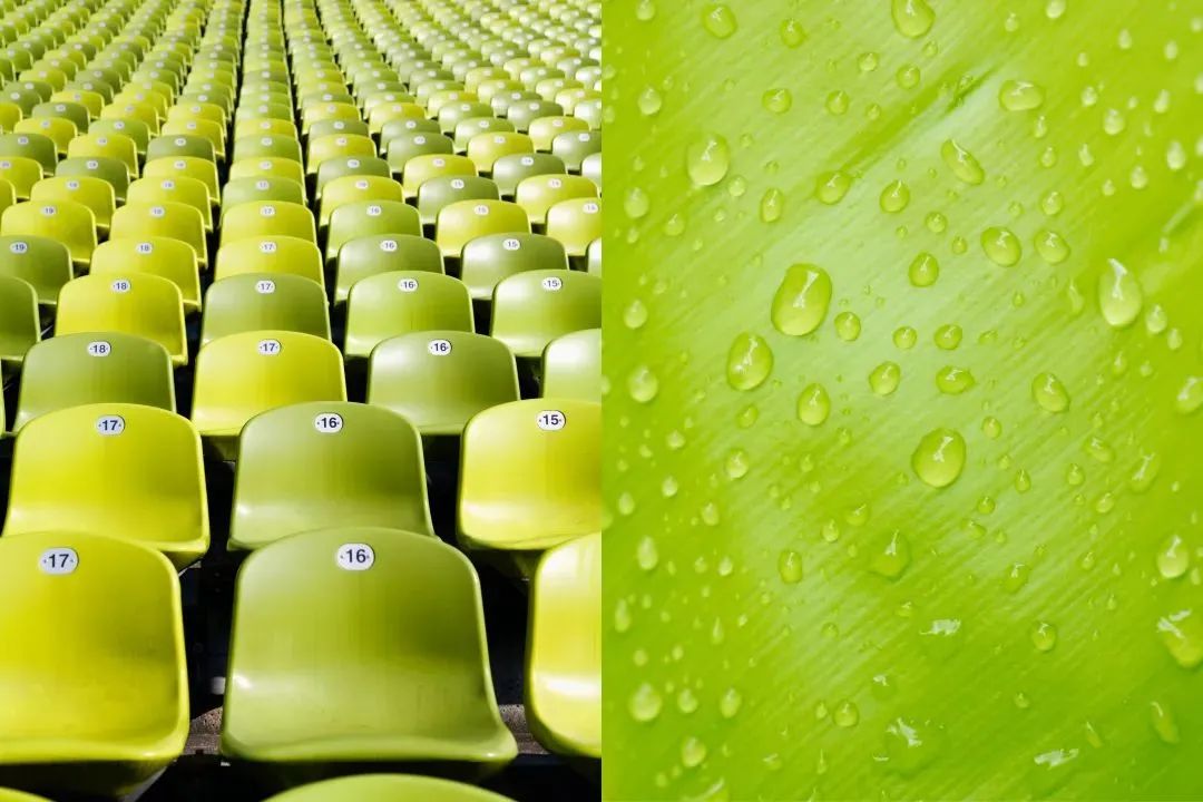 pantone-16.jpg