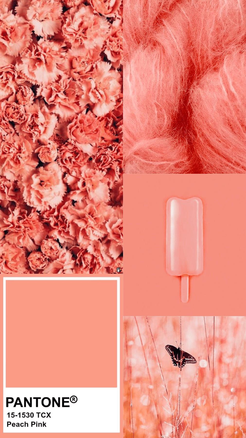 pantone-8.jpg